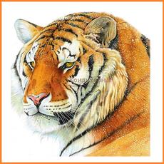 Вафельная картинка Тигр