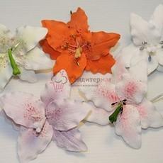 Украшение сахарное Цветок лилии 11 см.